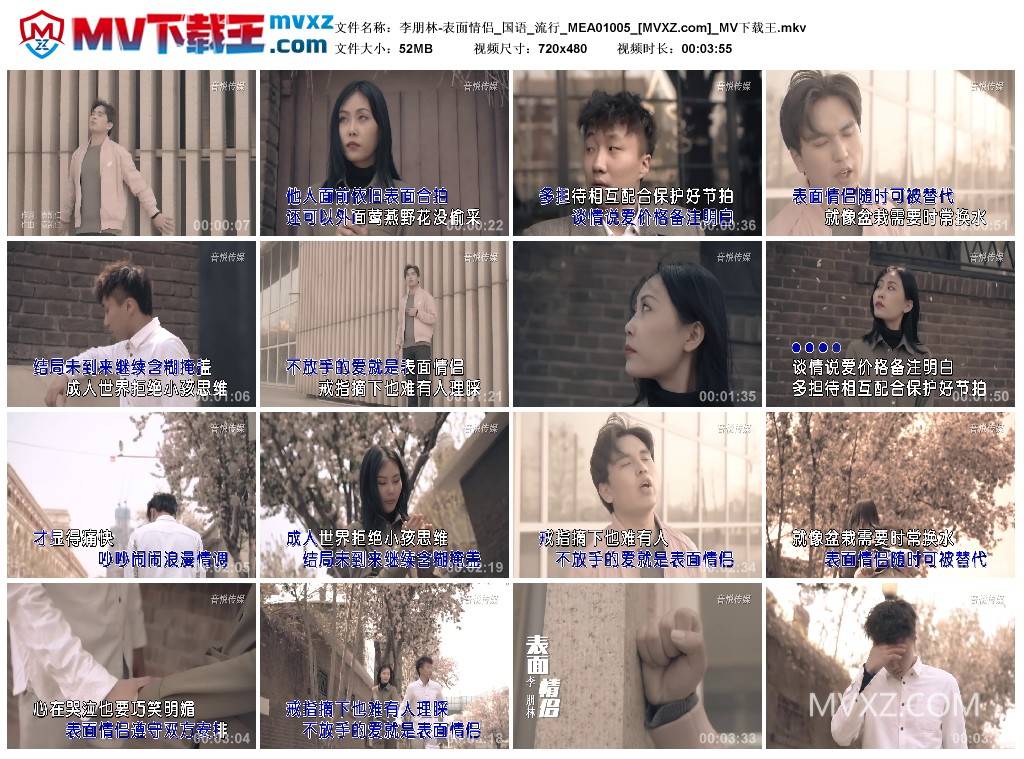 李朋林-表面情侣_国语_流行_MEA01005